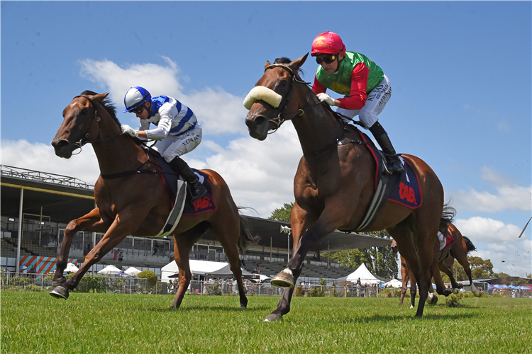 「琼斯小姐」（内侧）夺冠