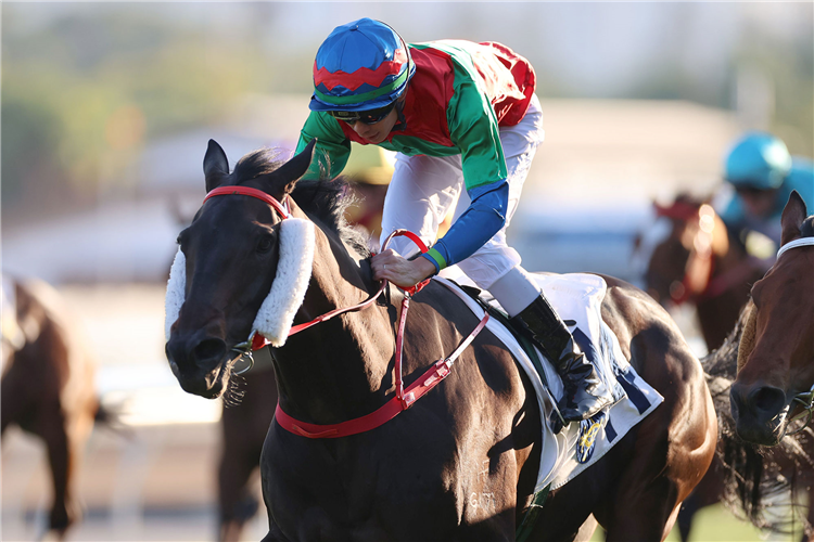 MONEY CATCHER winning the PAK SHA O HANDICAP