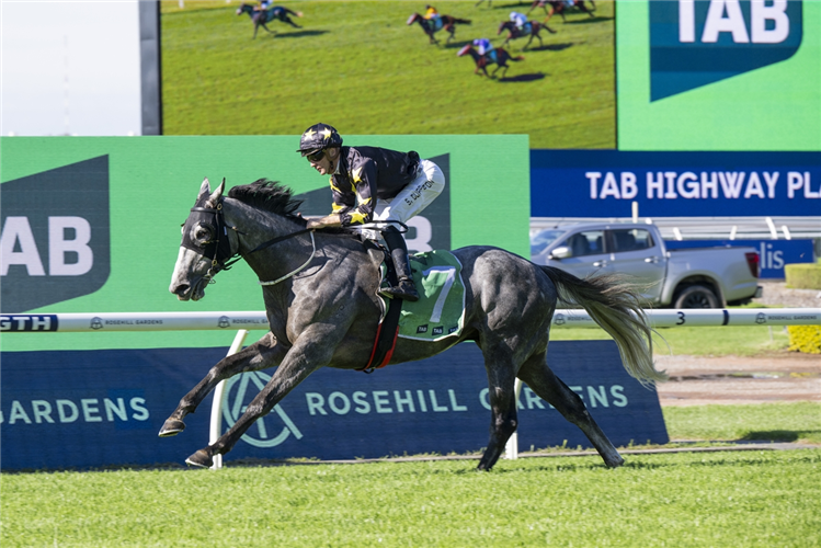 MOON SWEEPER winning the TAB HIGHWAY PLATE at Rosehill in Australia.