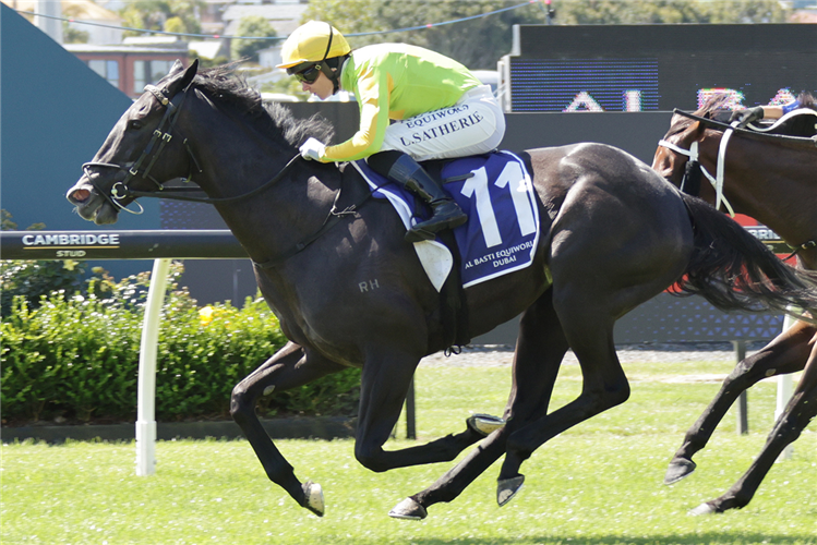 「战斗力」胜出迪拜经典赛