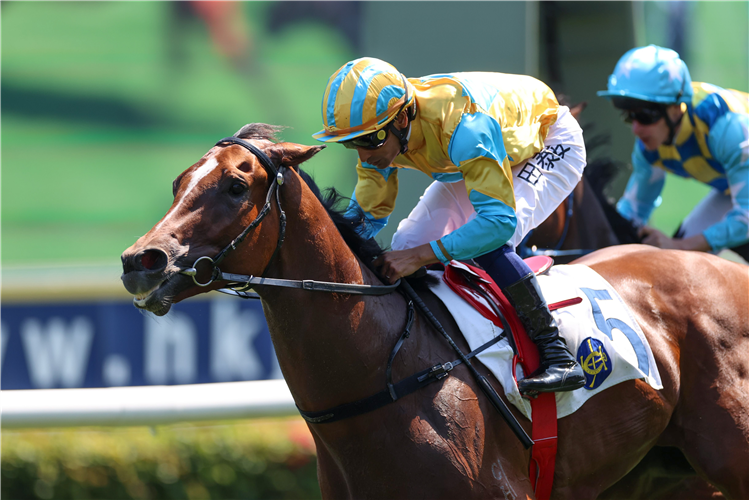 Karis Teetan completes a double on Mr Incredible.