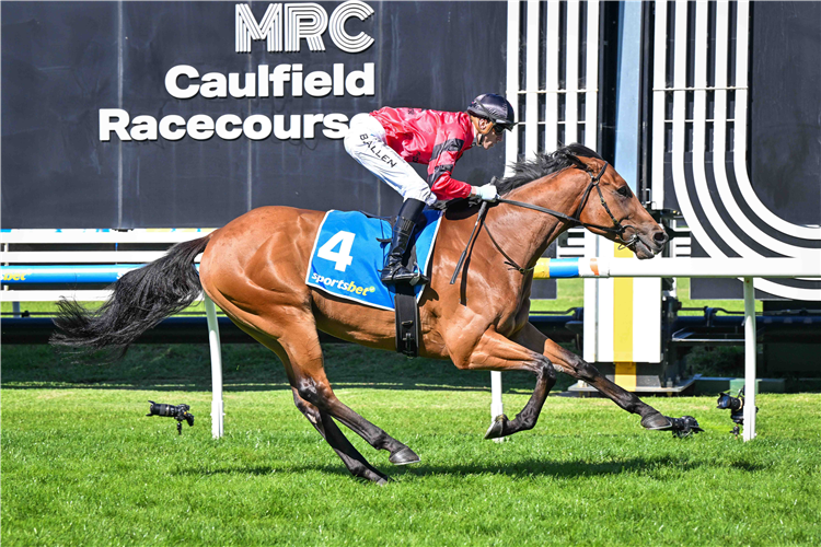 MUKHTALIF winning the Robert Taranto Handicap at Caulfield in Australia.