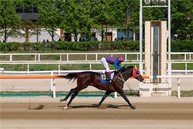 Korea Racing Report May 15-17 | Racing and Sports