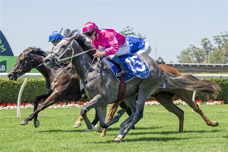 NANDINA winning the JACQUINOT FIRST YEARLINGS 2026 @ WIDDEN PLATE at Warwick Farm in Australia.