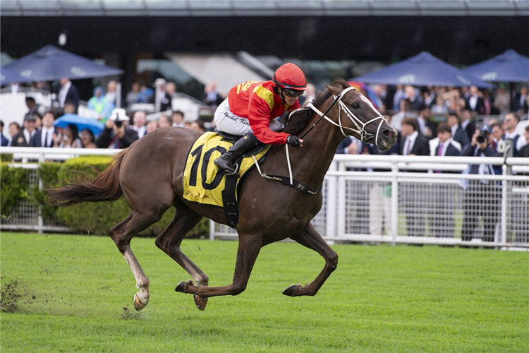 NEWLOOK winning the SCHWEPPES CHAIRMANS QUALITY at Randwick in Australia.