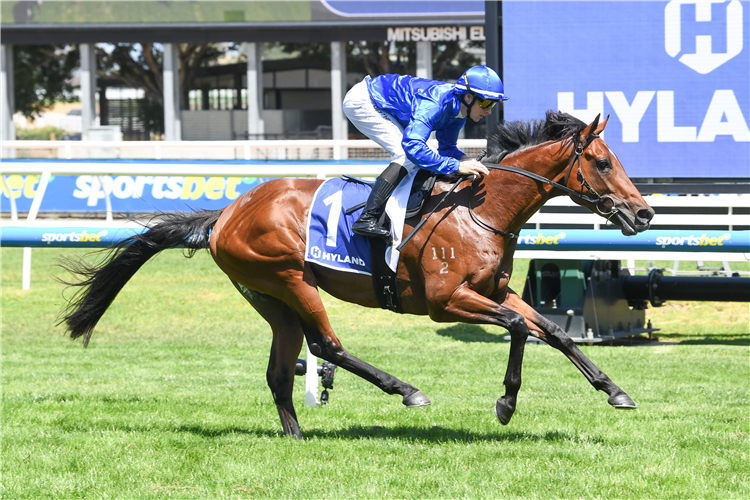 OBSERVER winning the Hyland Race Colours Autumn Stakes at Caulfield in Australia.