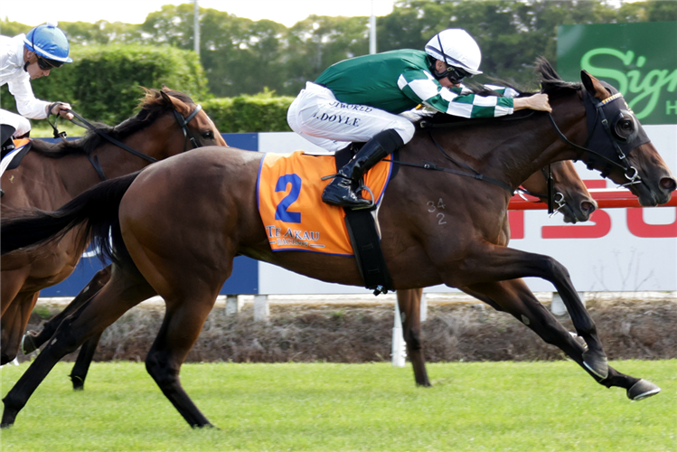 OHOPE WINS winning the DAVID & KARYN ELLIS FILLIES CLASSIC