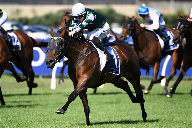 「欧霍普胜」夺冠新西兰橡树赛