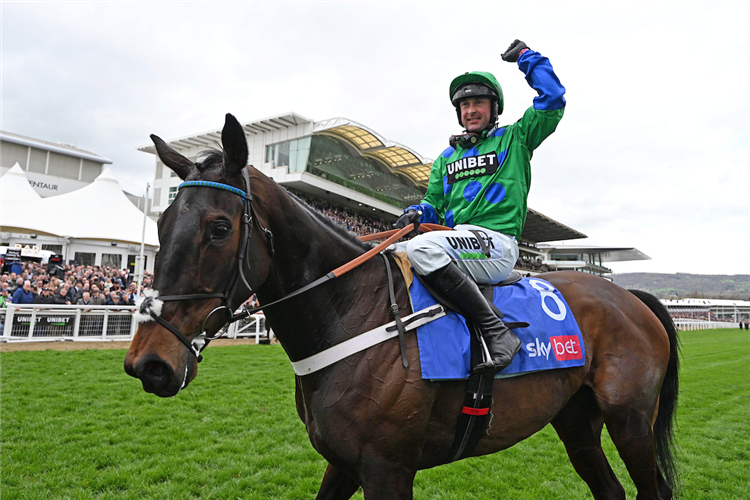 OLD PARK STAR winning the Sky Bet Supreme Novices' Hurdle (Grade 1) at Cheltenham in England.
