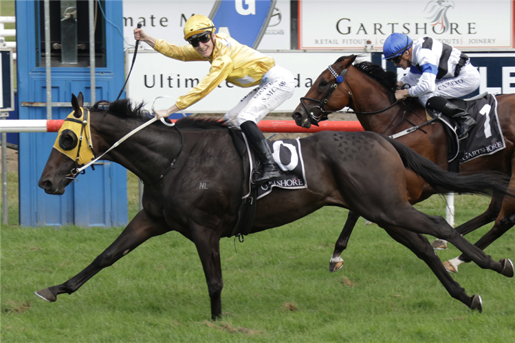 OMEGA BOY winning the ULTIMATE MAZDA JAPAN TROPHY
