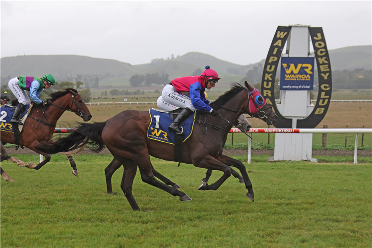 Opawa Jack Prevails In Wairoa Cup | Racing and Sports