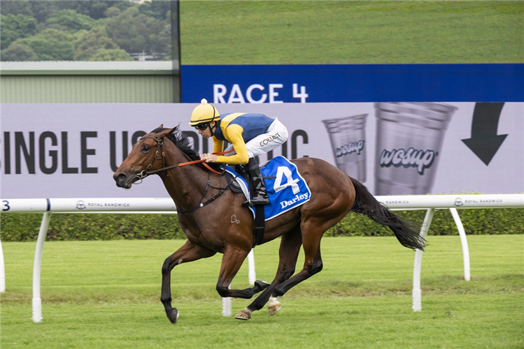 PARADOXIUM winning the DARLEY TODMAN STAKES at Randwick in Australia.