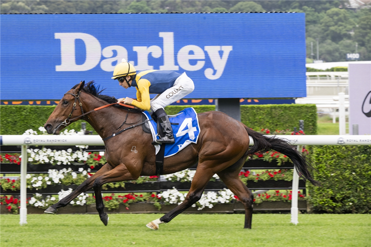 PARADOXIUM winning the DARLEY TODMAN STAKES at Randwick in Australia.
