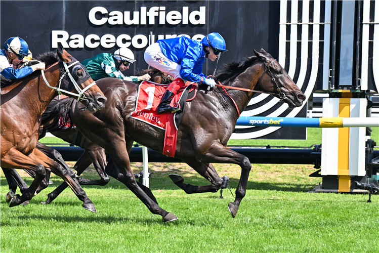PERICLES winning the Henley Homes Futurity Stakes at Caulfield in Australia.