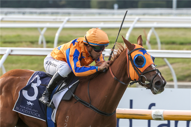PERLINO winning the NEW ZEALAND BLOODSTOCK WARSTEP STAKES