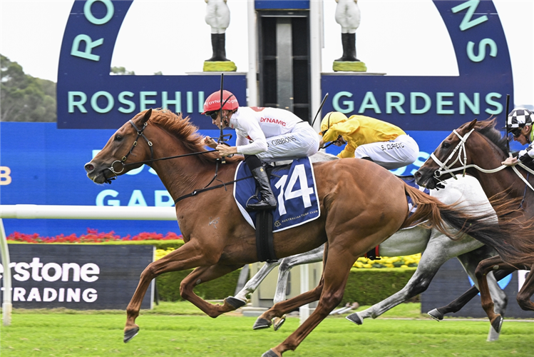 「背运」夺冠帕拉马塔杯