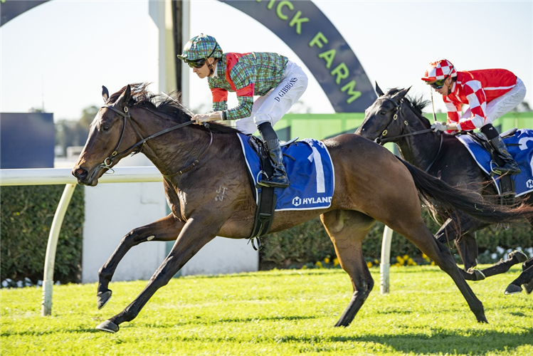 「海报希拉」夺冠海兰德赛马队服让赛（HYLAND RACE COLOURS HANDICAP）
