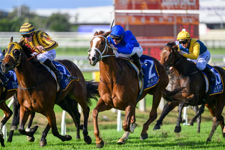 PINITO winning the MAGIC MILLIONS Fillies and Mares MILE at Doomben in Australia.