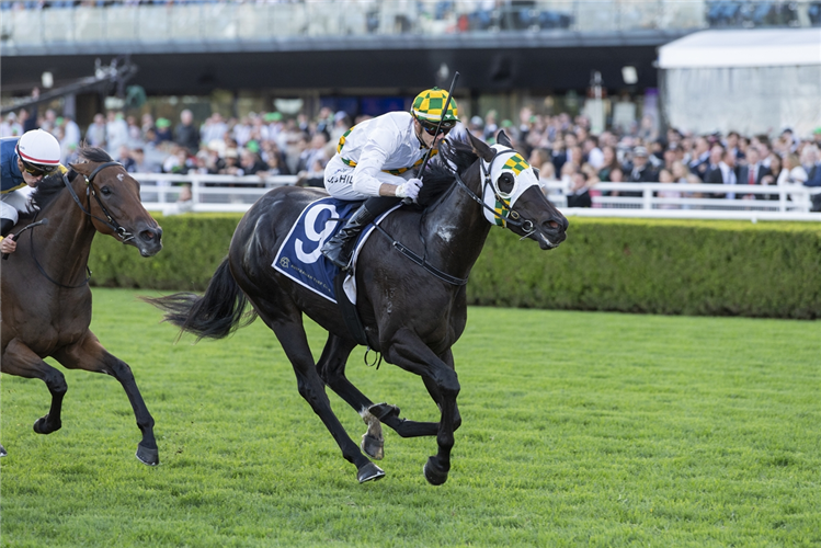 PLAINTIFF winning the 4 PINES P J BELL STAKES at Randwick in Australia.