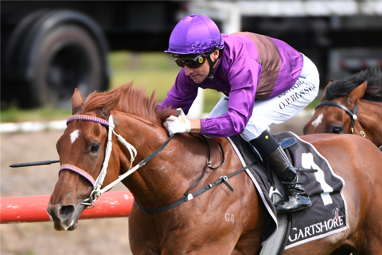 PLATINUM PANTHEON winning the J SWAP CONTRACTORS 3YO