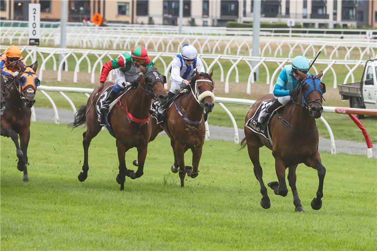 POUR THE WINE winning the SPEIGHT'S TIMARU STAKES