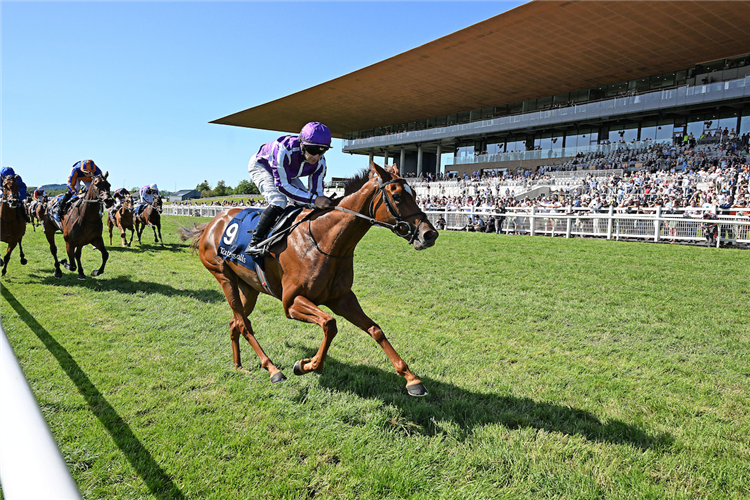 Precise winning the The Tattersalls Irish 1,000 Guineas (Group 1) (G1) at Curragh in Ireland.