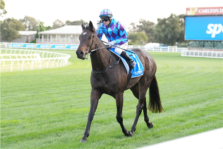 PRIDE OF JENNI winning the TAB A.D. HOLLINDALE STAKES at Gold Coast in Australia.