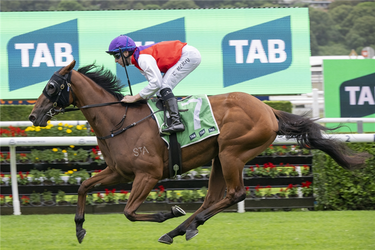 PROFOUNDLY winning the TAB ADRIAN KNOX STAKES at Royal Randwick in Australia.
