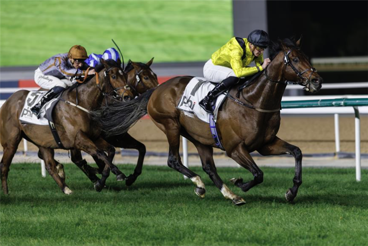 Quddwah winning the Zabeel Mile Sponsored By Phi Advertising.