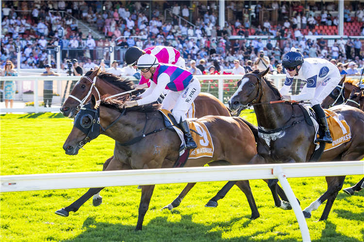 REY MAGNERIO winning the The Gold Rush.