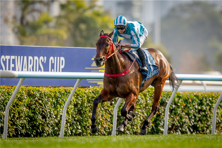 ROMANTIC WARRIOR winning the THE STEWARDS' CUP