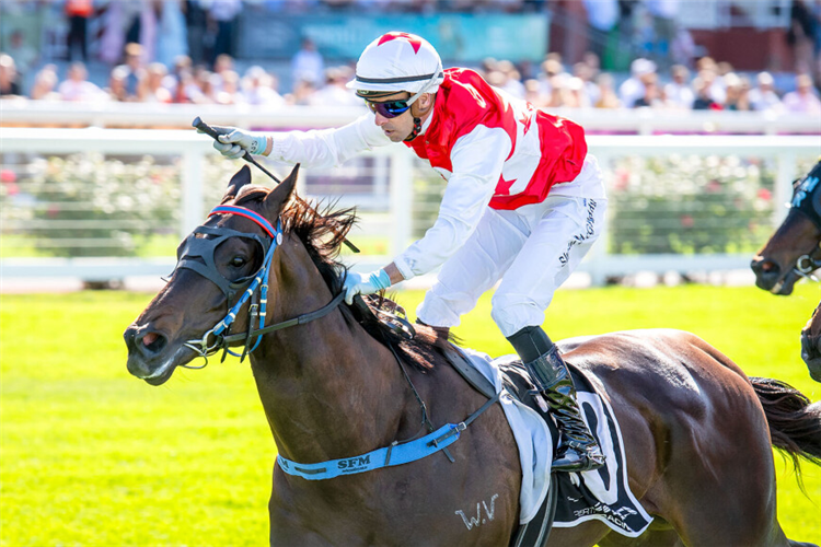 ROPE THEM IN winning the Colonel Reeves Stakes