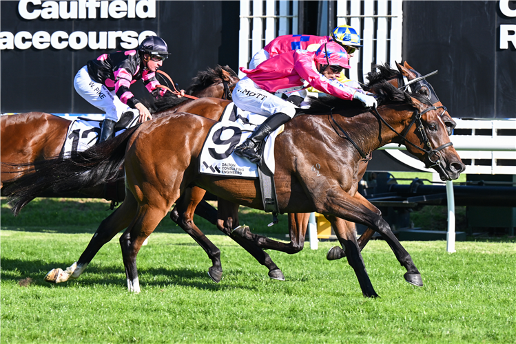 ROULETTE KING winning the DCE Alister Clark Stakes at Caulfield in Australia.