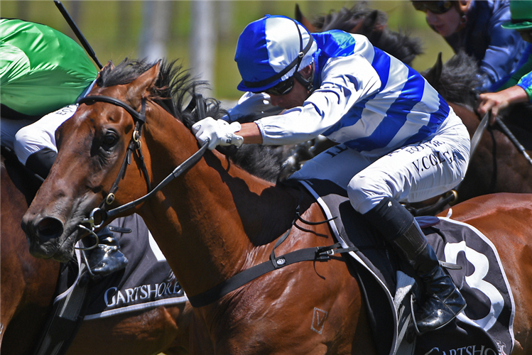 「萨蒂」首秀夺冠