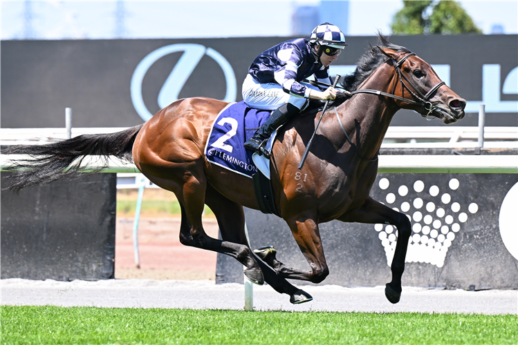 SASS APPEAL winning the Desirable Stakes at Flemington in Australia.