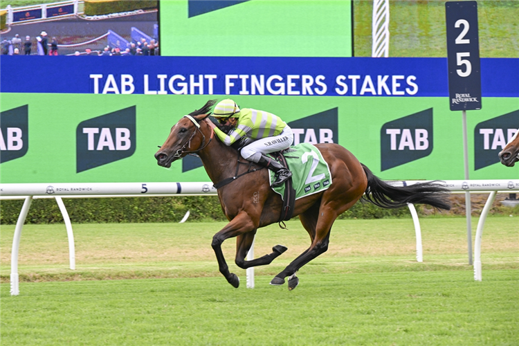SAVVY HALLIE winning the TAB LIGHT FINGERS STAKES at Randwick in Australia.