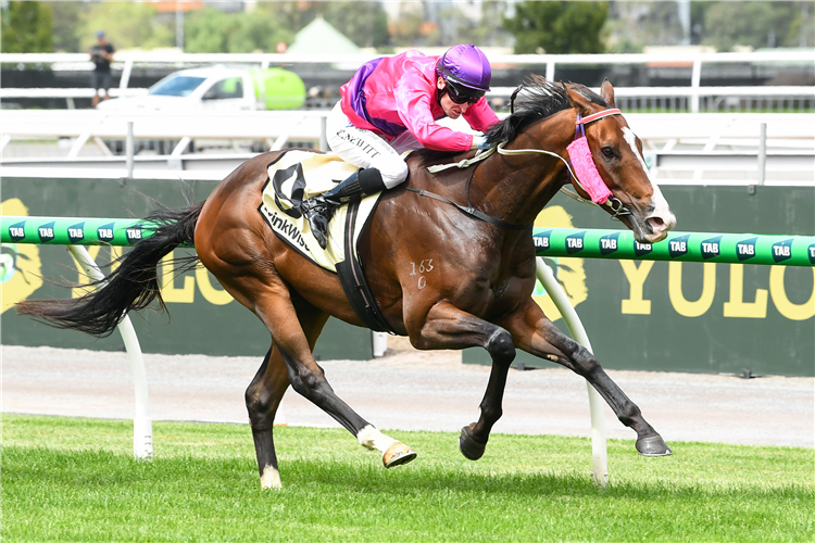 SCHEELITE winning the Kirin Ichiban Shaftesbury Avenue Handicap at Flemington in Australia.