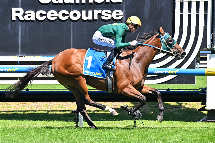 SHEZA ALIBI winning the Sportsbet Angus Armanasco Stakes at Caulfield in Australia.