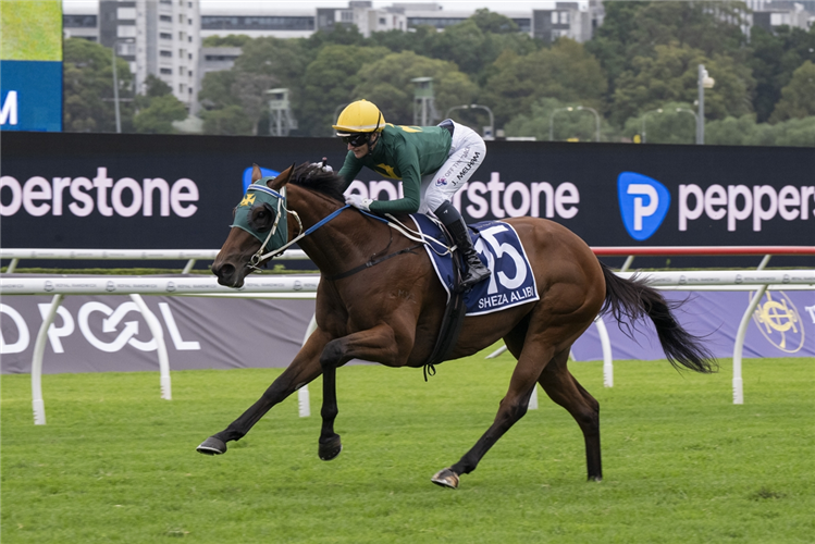 SHEZA ALIBI winning the DONCASTER MILE at Randwick in Australia.