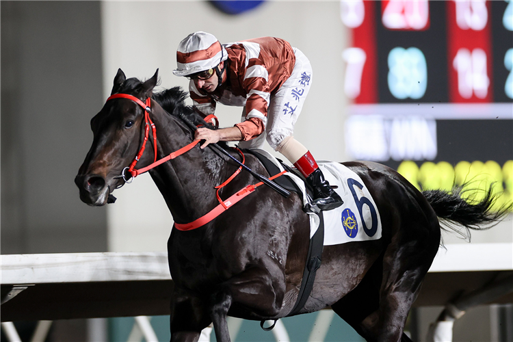 SIGHT DREAMER winning the DIAMOND HILL HANDICAP