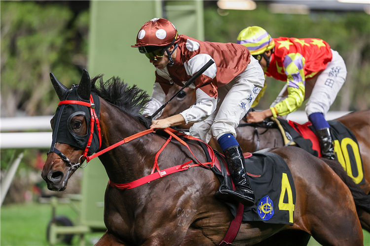 SIGHT HERMOSO winning the THE CRAIGENGOWER CRICKET CLUB CHALLENGE CUP (HANDICAP)