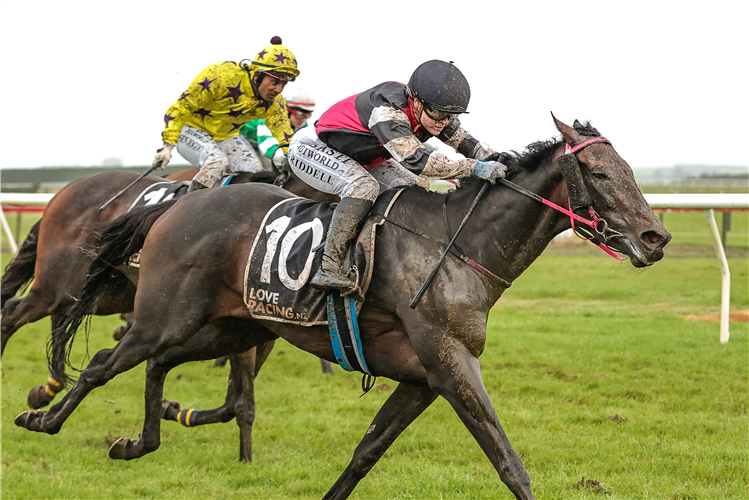 SIGHT TO SEE winning the AB LIME & CALDWELL CONTRACTING WYNDHAM CUP