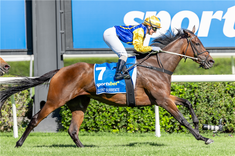 SILENT SURRENTE winning the Adelaide Cup
