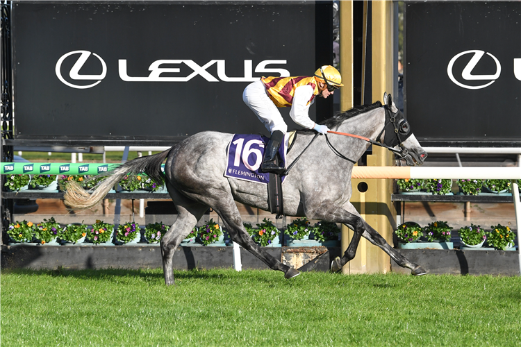 「银霞姐妹」夺冠在弗莱明顿赛马场上举办的VRC圣烈治赛