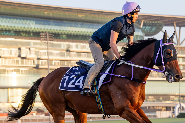 Sing Dragon works in Dubai to prepare for Super Saturday.