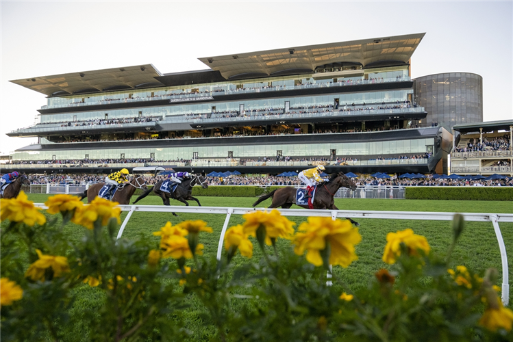 SIR DELIUS winning the Queen Elizabeth Stakes at Randwick Racecourse