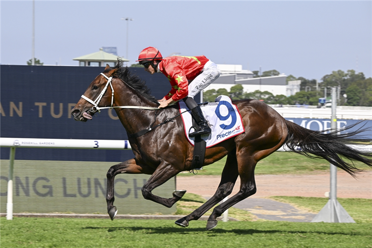 「六十年代」夺冠在澳洲罗斯希尔花园马场上举办的精密空气让赛（PRECISE AIR HANDICAP）