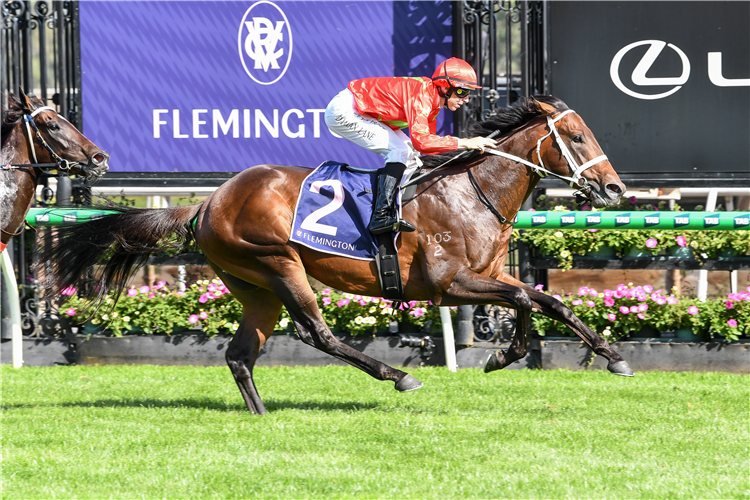 「六十年代」夺冠CS海耶斯锦标赛