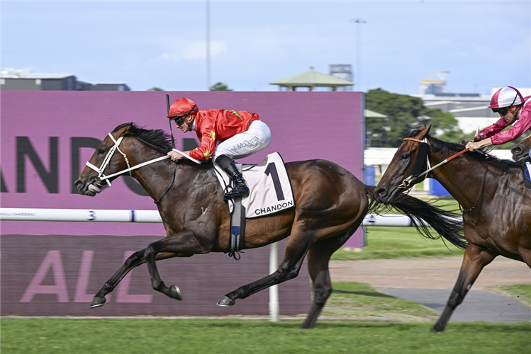 SIXTIES winning the CHANDON PHAR LAP STAKES at Rosehill in Australia.