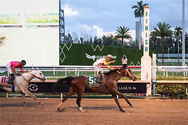 SKIPPYLONGSTOCKING winning the Pegasus World Cup at Gulfstream Park in Hallandale, Florida.